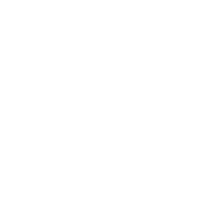 HSE logo white