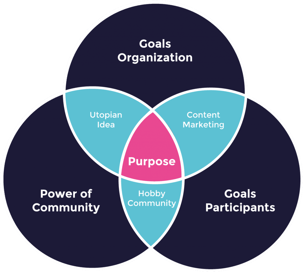 Community Strategy Concept diagram