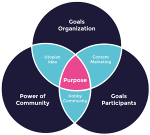 Community Strategy Concept diagram